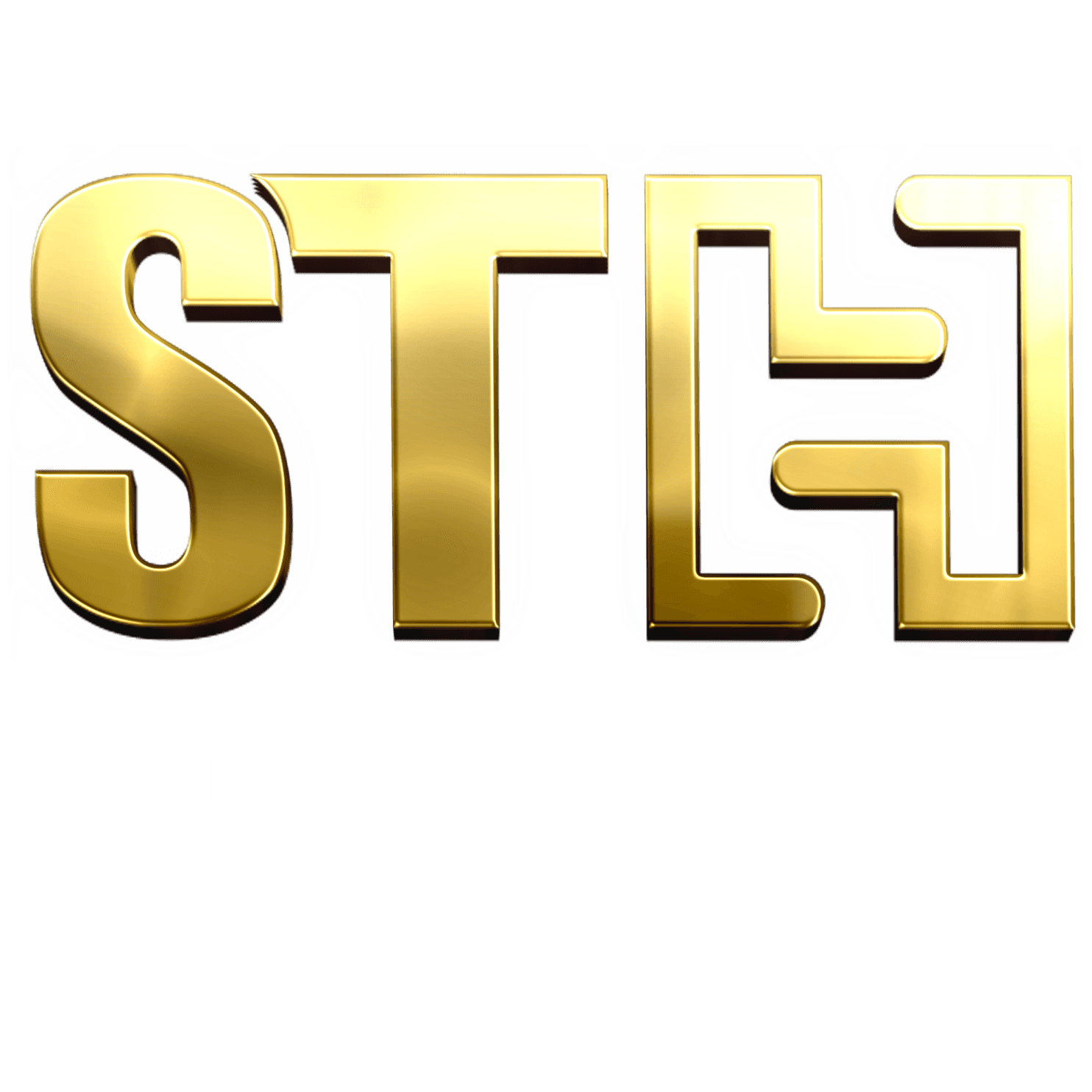 الشركة السورية التركية القابضة STH