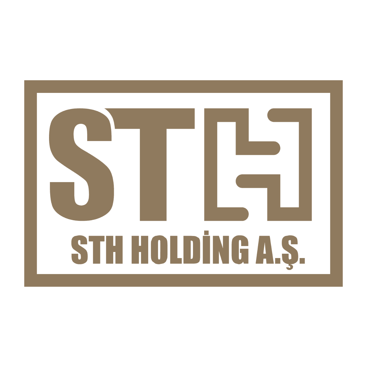  STH Holding